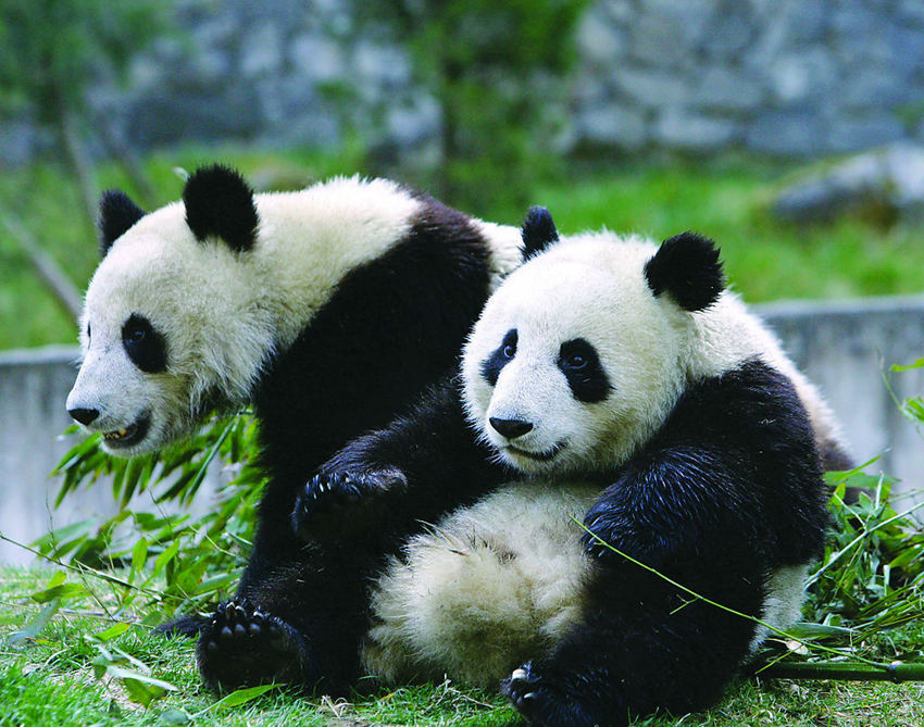 ??? ???? 7? ??, ‘??’ ???? ??