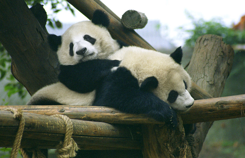 ??? ???? 7? ??, ‘??’ ???? ??