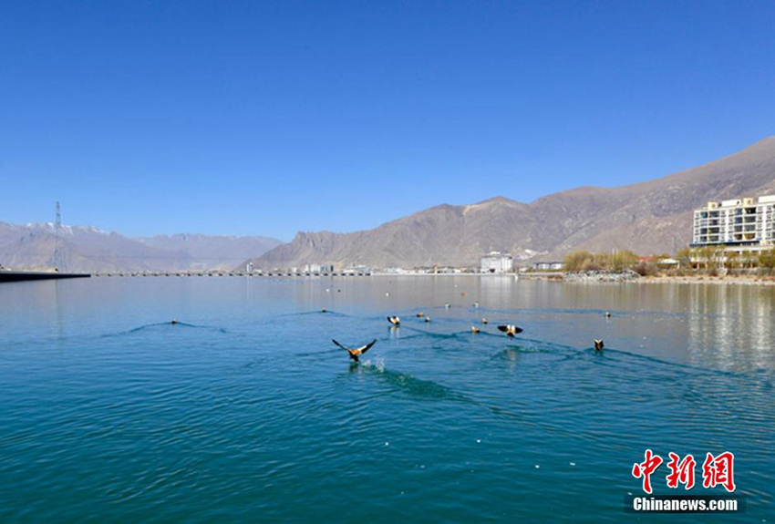 ??? ??? ?? ???? ???? ??