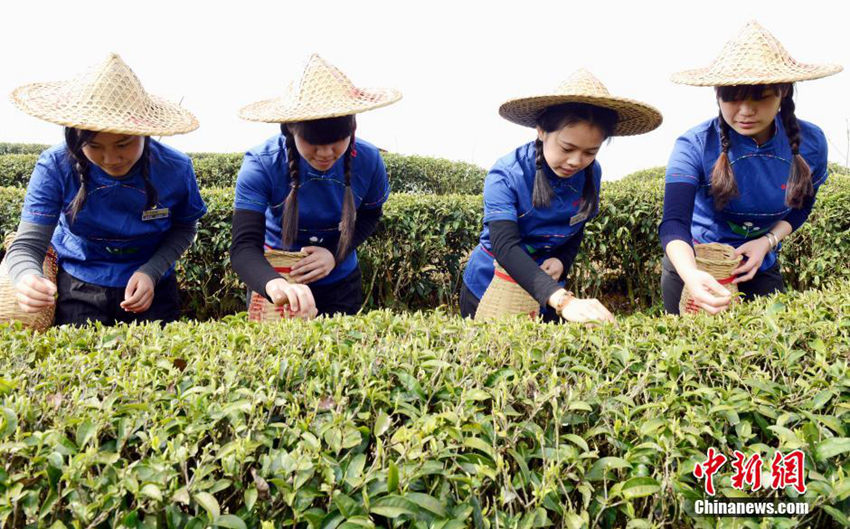 ???? ??? ?? ? ???? ??