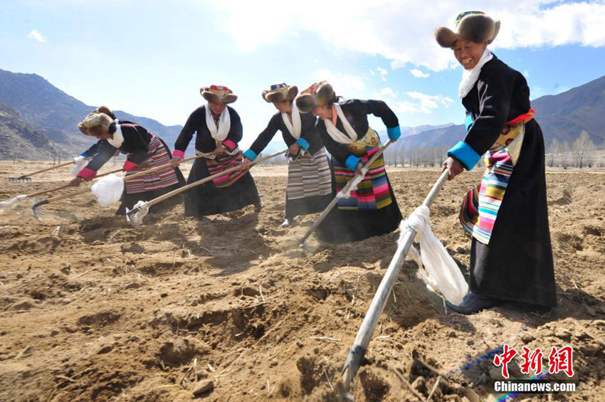 ??(西藏) ??? ?? ??? ??? ?? ???