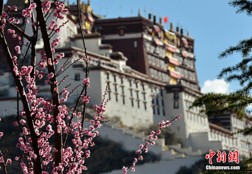 ??? 3?? ?, ?? ???? ?? ??