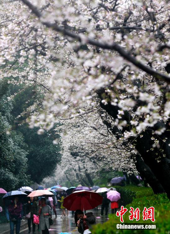 ?? ?? ??, ?? ?? ??? ??? ????