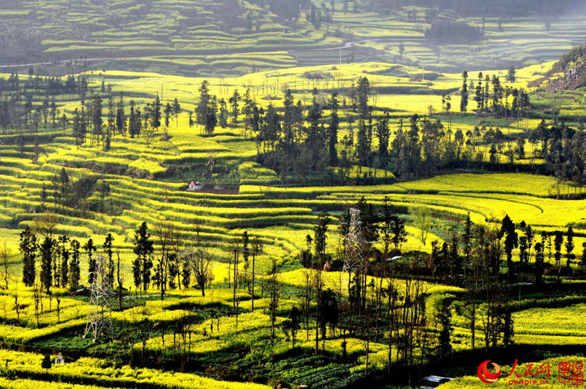 ?? ???, ???? ??? ?? ?? ????