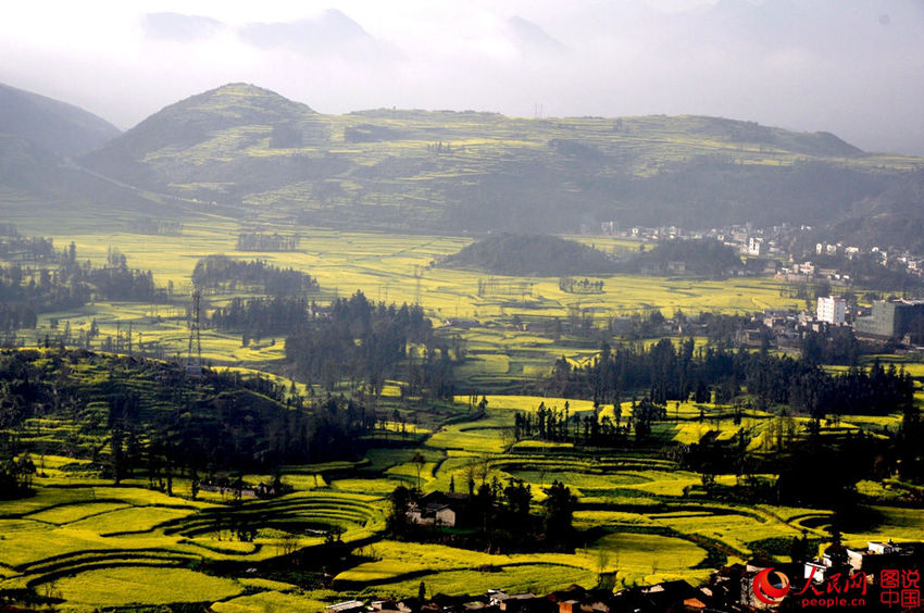 ?? ???, ???? ??? ?? ?? ????