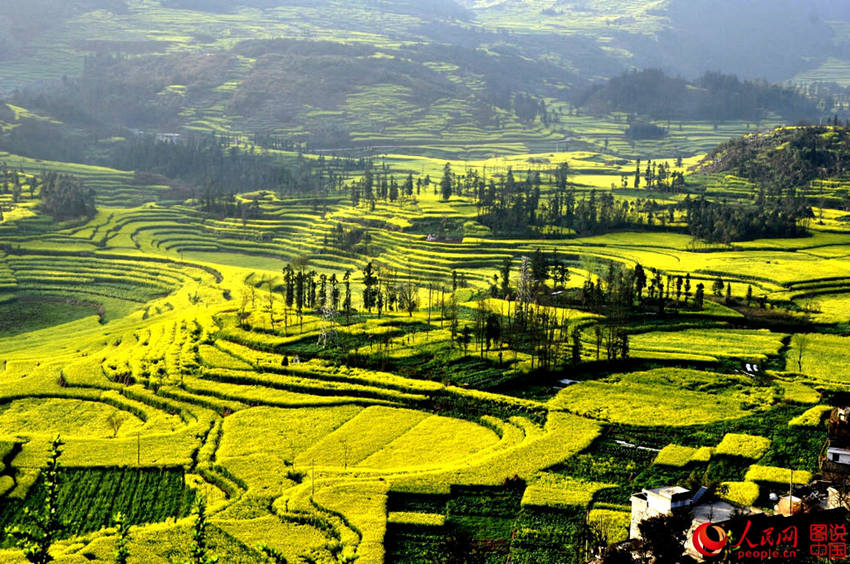 ?? ???, ???? ??? ?? ?? ????