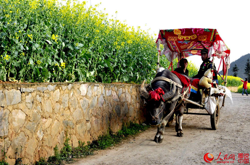 ?? ???, ???? ??? ?? ?? ????