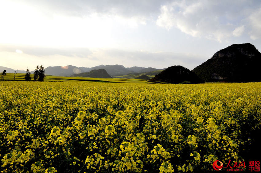 ?? ???, ???? ??? ?? ?? ????