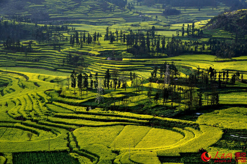 ?? ???, ???? ??? ?? ?? ????