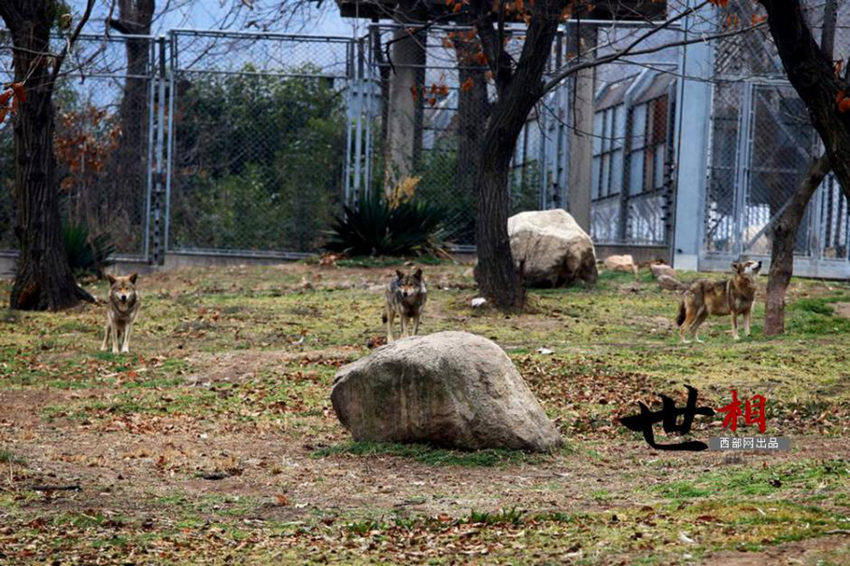 ??(陝西) ??(秦嶺) ??? ?? ???