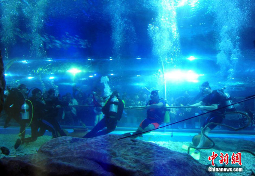 ?? ?????? ?? ???? ?? ??