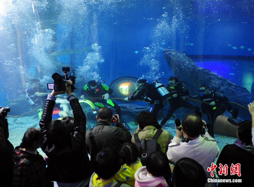 ?? ?????? ?? ???? ?? ??