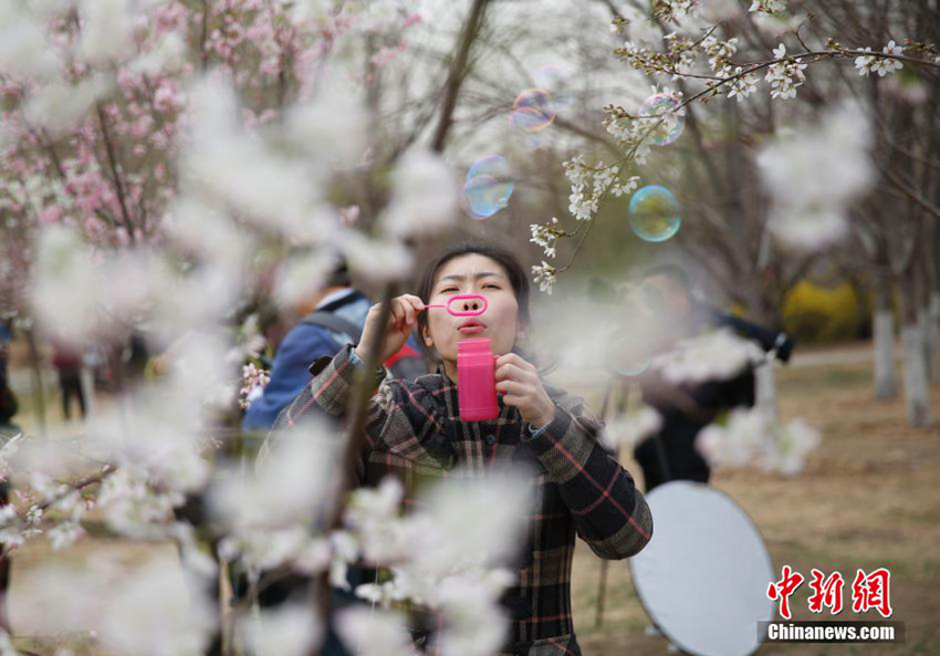 ??? ?? ?? ??…??? ??? ?? ??