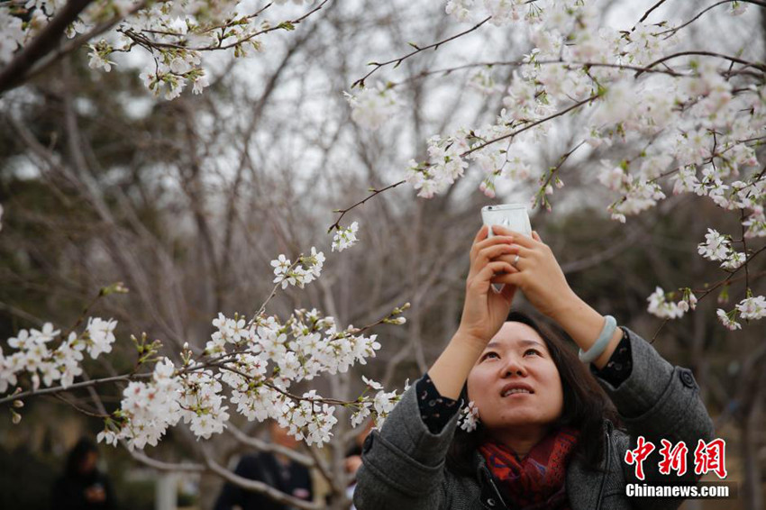 ??? ?? ?? ??…??? ??? ?? ??