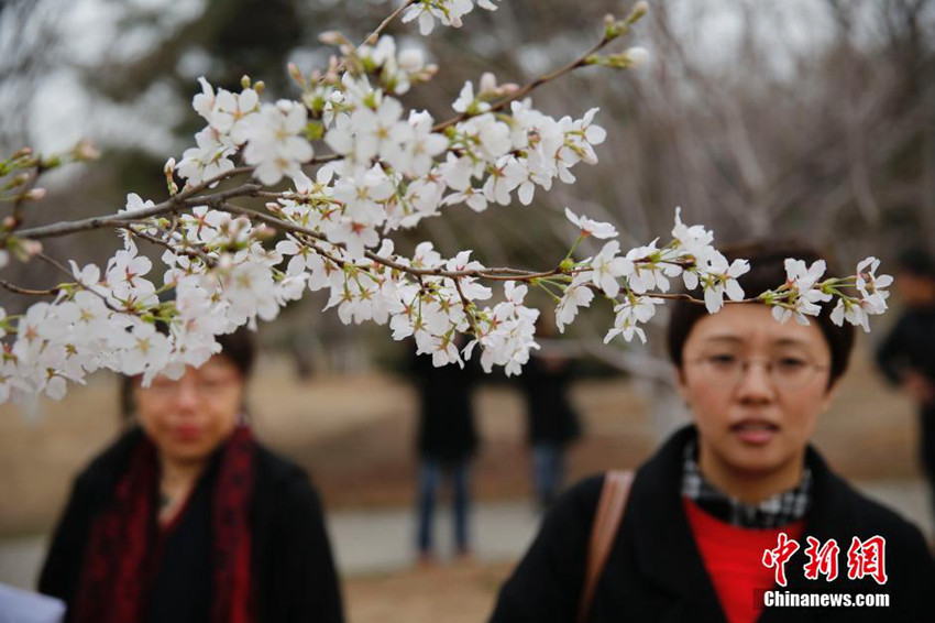 ??? ?? ?? ??…??? ??? ?? ??