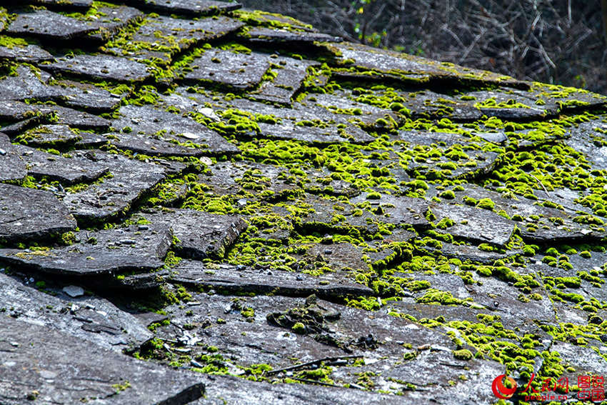 ??? ????(凍靑溝) ????? ???