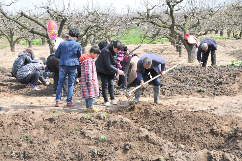 ?? ?? ????? ??? ? ?? ??, 100kg ??