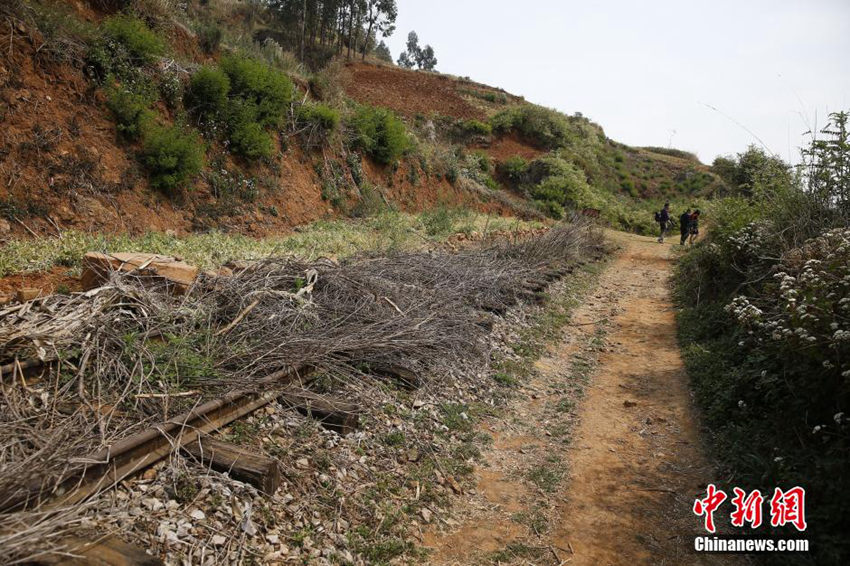 ???? 111?? ??, ??? ????? ???