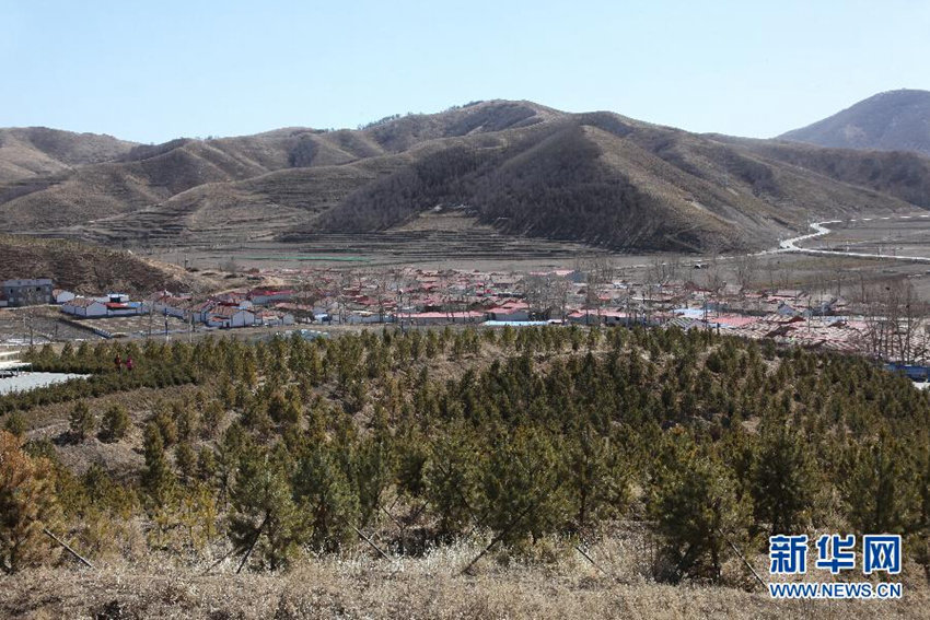 IOC, ????? ??? ???? ???? ??