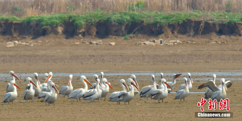 ?? ??? ???? ??? 68?? ???