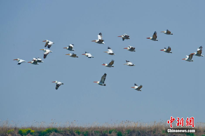 ?? ??? ???? ??? 68?? ???