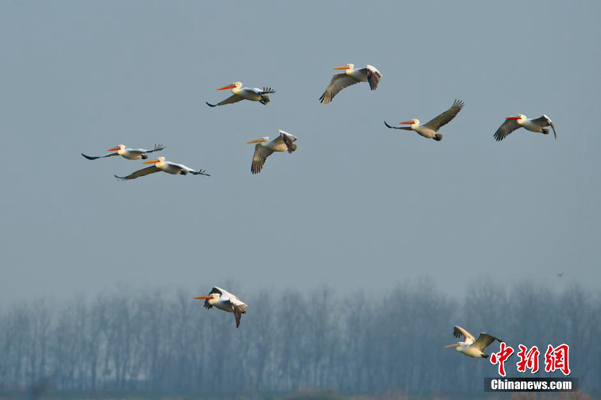 ?? ??? ???? ??? 68?? ???