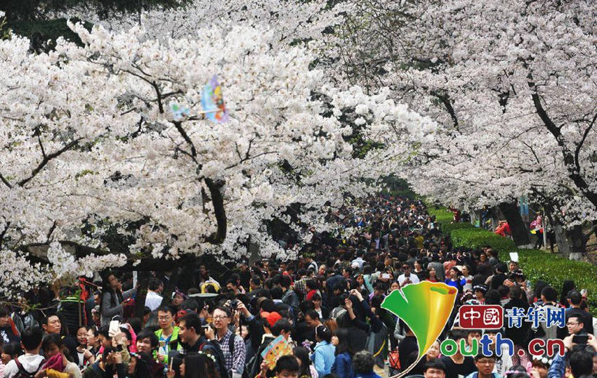 ???? ??? ???, ????? ????