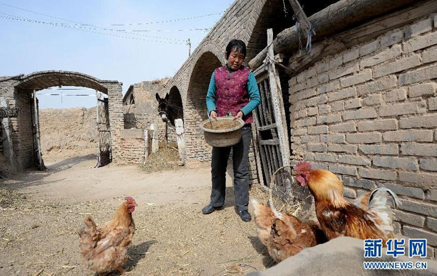 ? ?? ??? ?? ??, ??? ?? ??