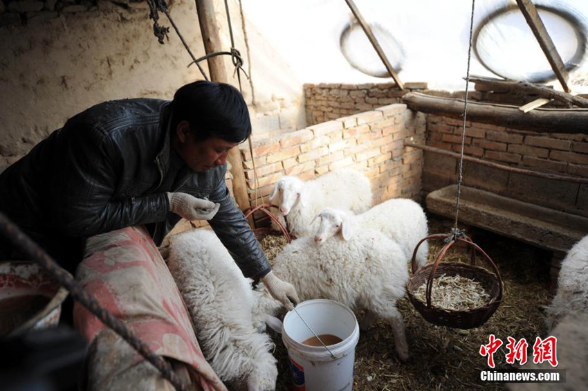 ?? ?? ???? ?? ??? ???