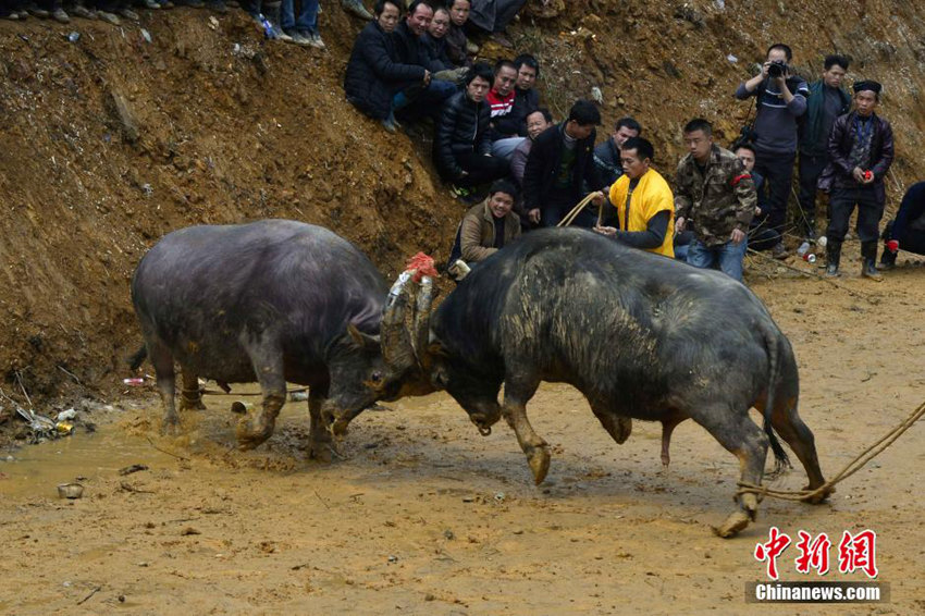 ???? ????? ?? ??…??? ??? ??