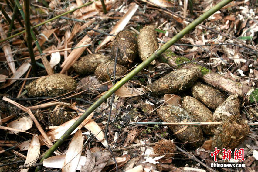 ?? 4? ?? ??? ??, ?? ?? 345??