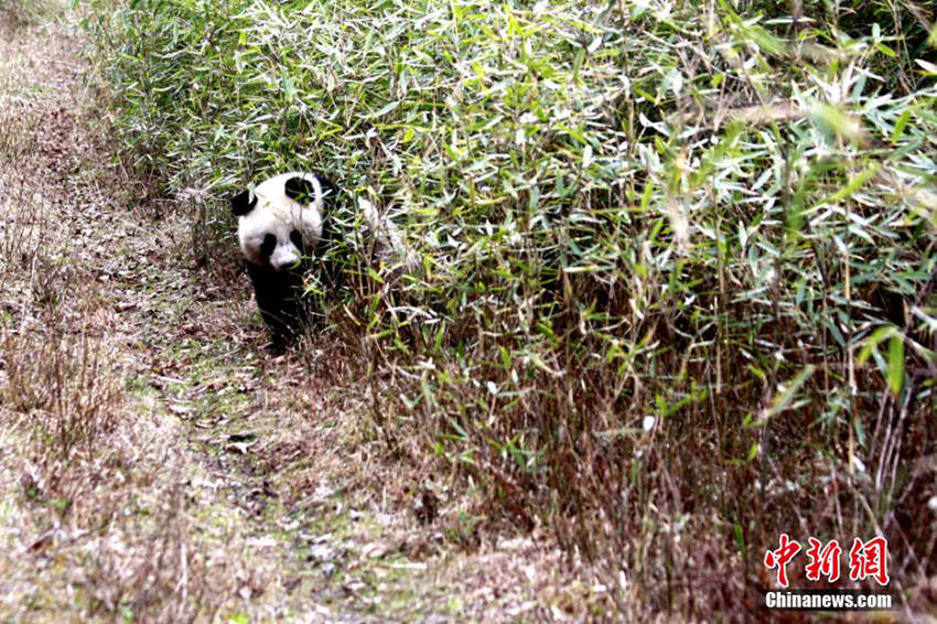 ?? 4? ?? ??? ??, ?? ?? 345??