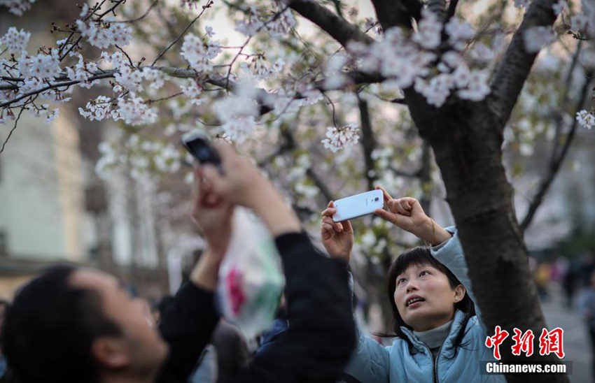 ???? ?? ??, ?? ? ?? ?? ??