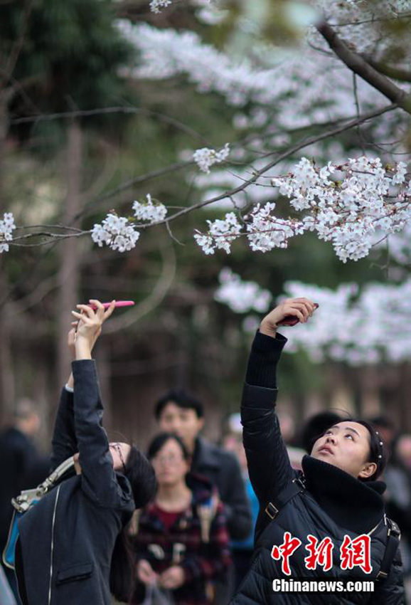 ???? ?? ??, ?? ? ?? ?? ??