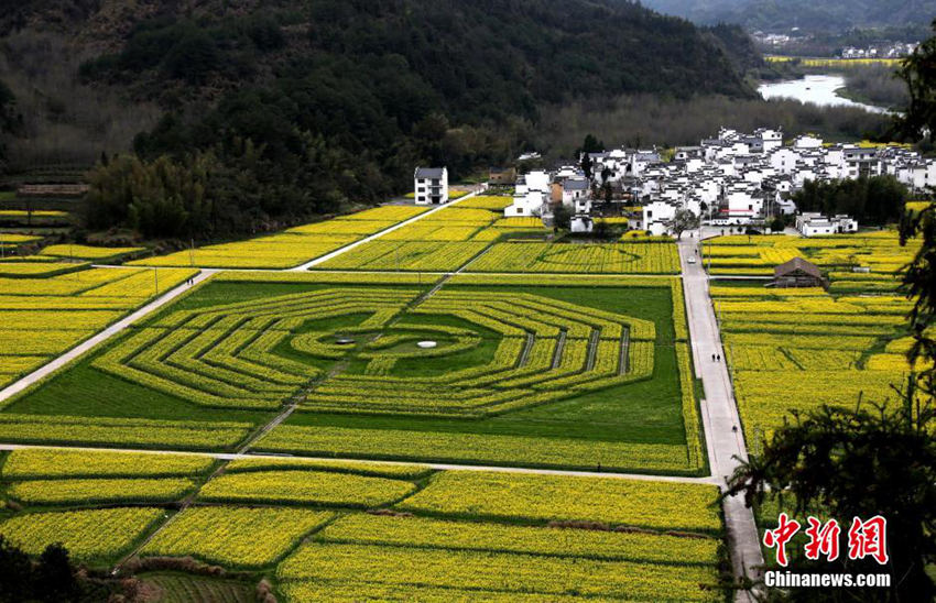 ??? ??? ?? ‘????’ ???? ‘??’