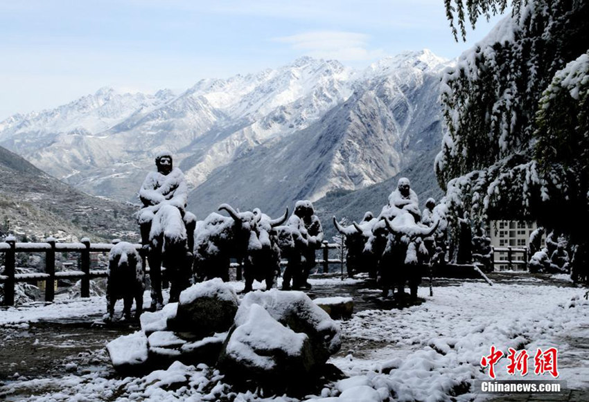 ?? ???? ??, ???? ?? ?? ??