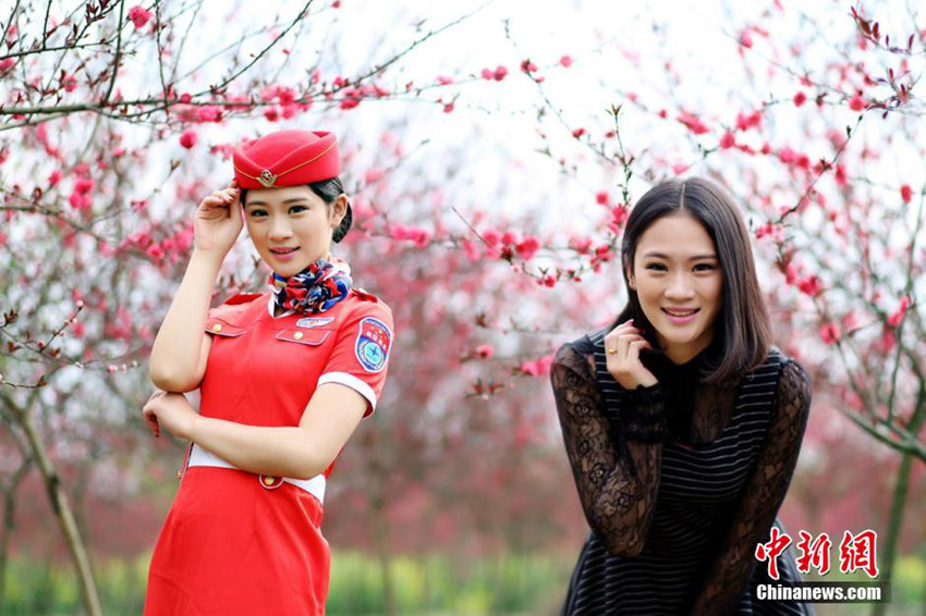 ?? ?? ?????? ??? ?? vs ?? ??