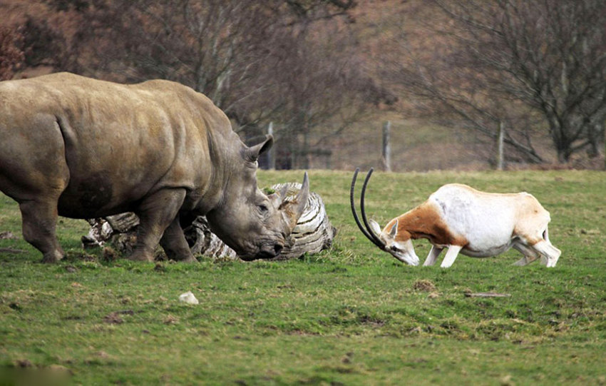 ?? ???? ???? ??? ?? ??