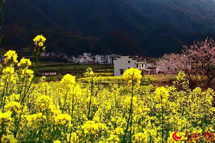 ???? ?? ???? ?? ‘???’? ? ???