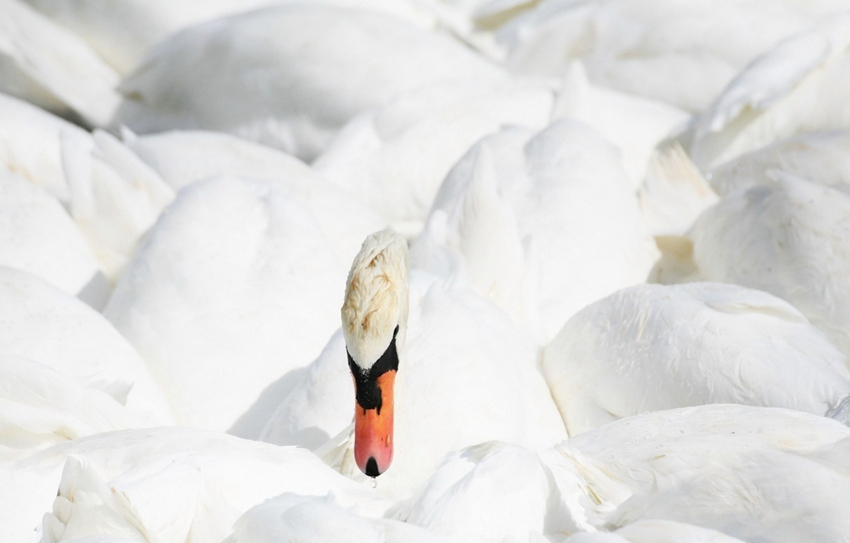 ????? ???? ?? ?? ??? ??