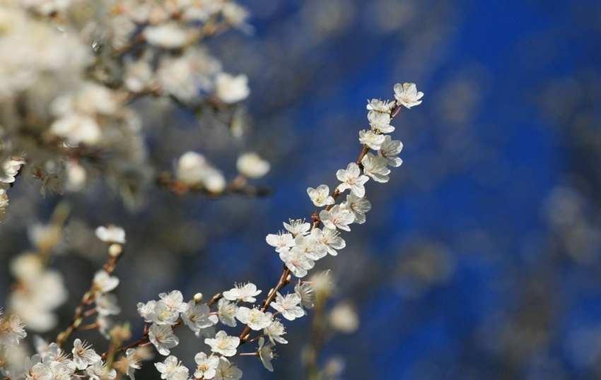 ????? ???? ?? ?? ??? ??