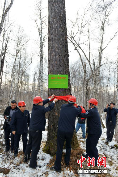 ???? ????? ???, ?? ?? ?? ??