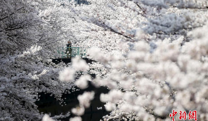 ?? ?? ??, ??? ?? ?? ?? ?? 