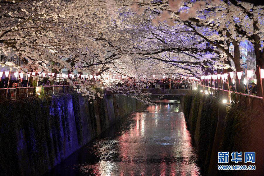 ?? ?? ??, ??? ?? ?? ?? ?? 