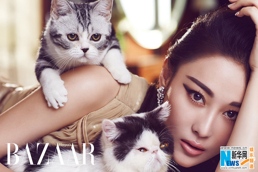 ??? ?? ??…????? ???? ??