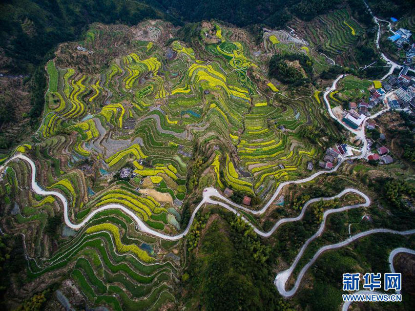 ??? ?? ????? ??? ‘??? ???’