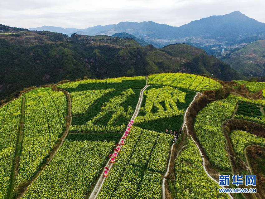 ??? ?? ????? ??? ‘??? ???’