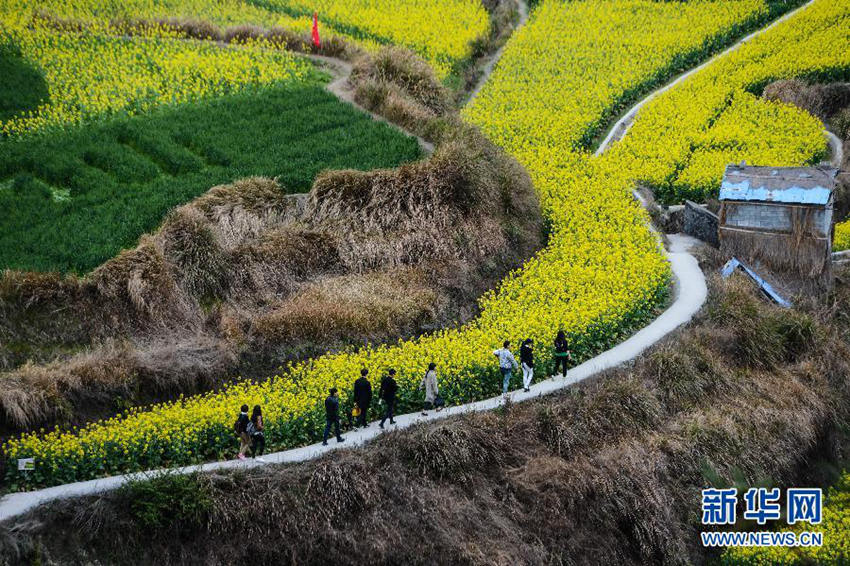 ??? ?? ????? ??? ‘??? ???’