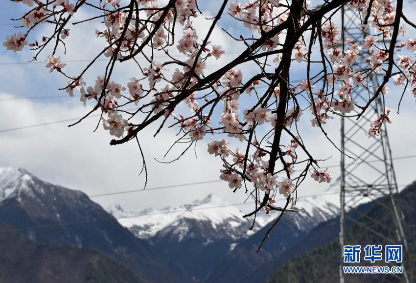 ?? ?? ???? ?? ‘?? ???? ????’