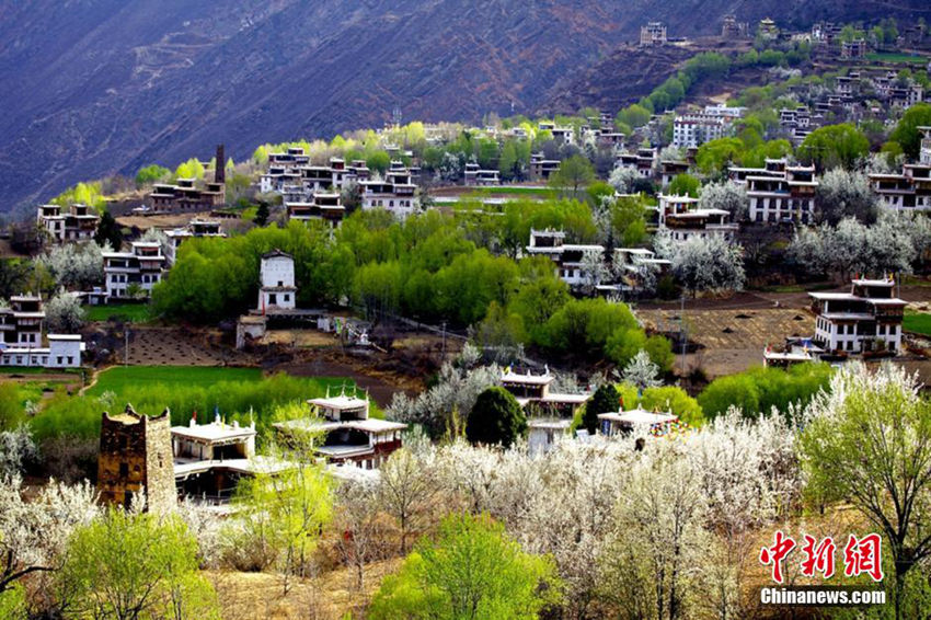 ?? ?? ???? ?? ??? ?? ??? ??